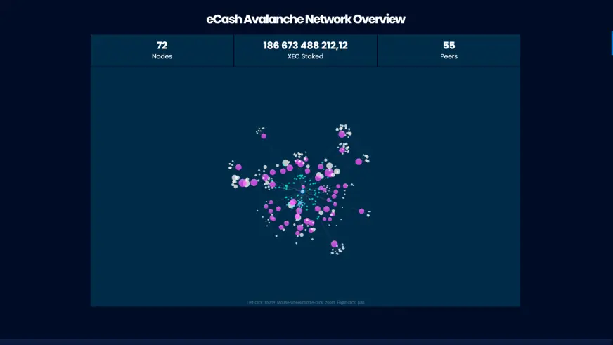 Avalanche Network Overview