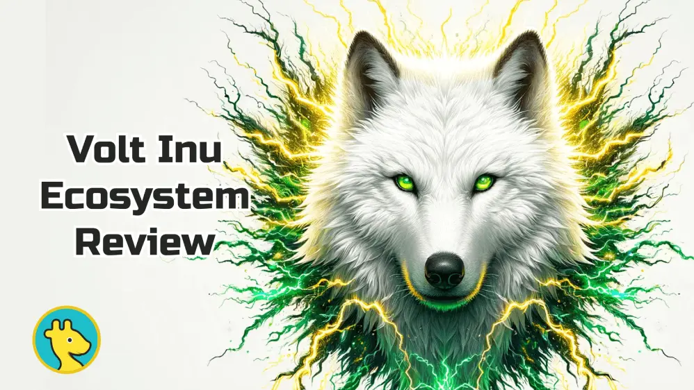 Volt Inu ecosystem review
